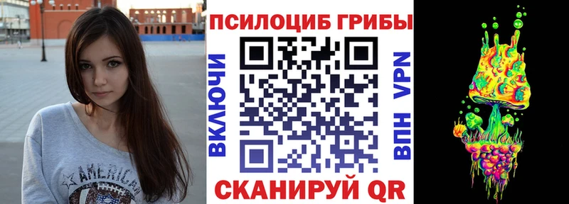 купить закладку  Полтавская  Псилоцибиновые грибы мицелий 